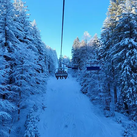 Daire Peaceful 4-room House In - Bike Friendly