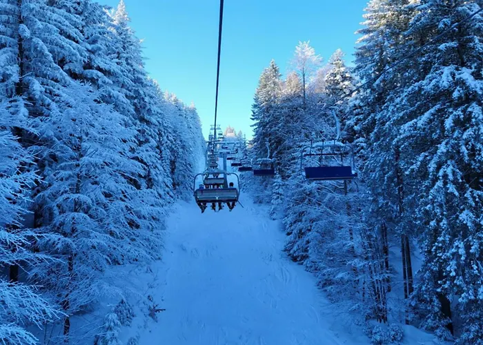 Daire Peaceful 4-room House In - Bike Friendly